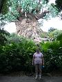 Ashley and the Tree of Life